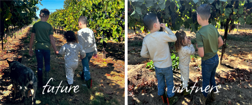 3rd generation future vintners