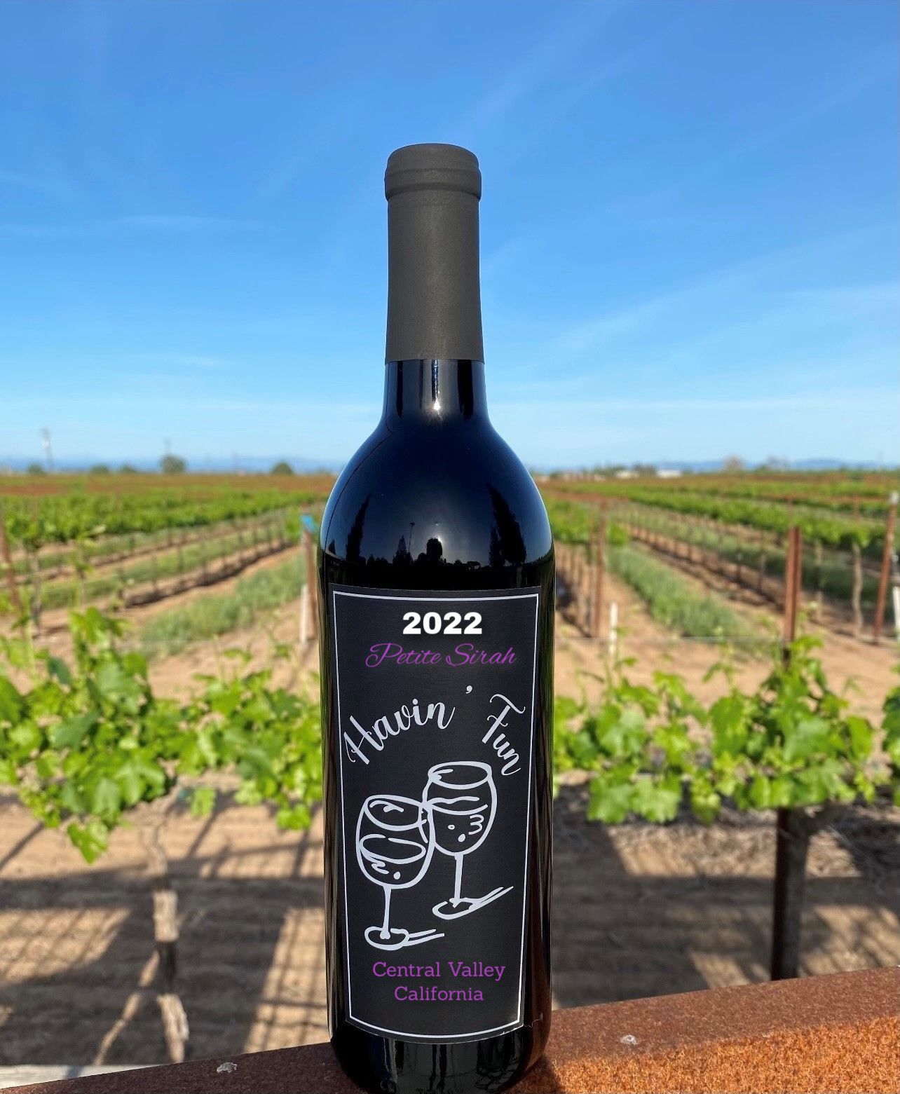 2022 Harvest Petite Sirah Bottle HFV
